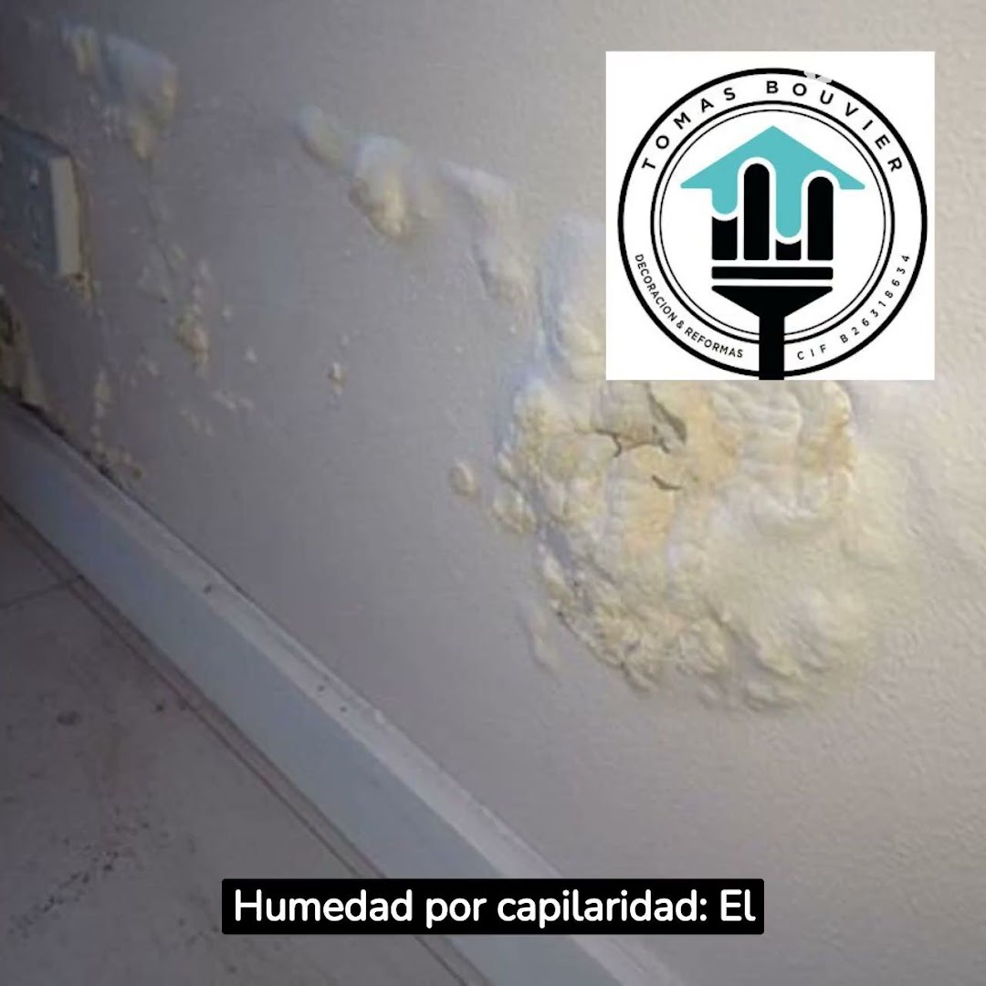 PINTURA DECORACION TOMÁS BOUVIER · Fotos 5